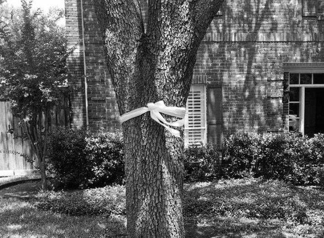 wp-16564636213481777448661824274817