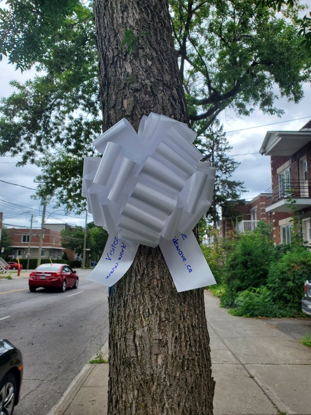 wp-16591978785963049230175248295887